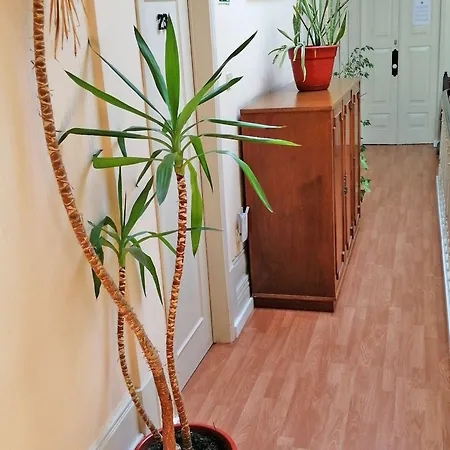 레지덴시아 발레 포르모소 포르투