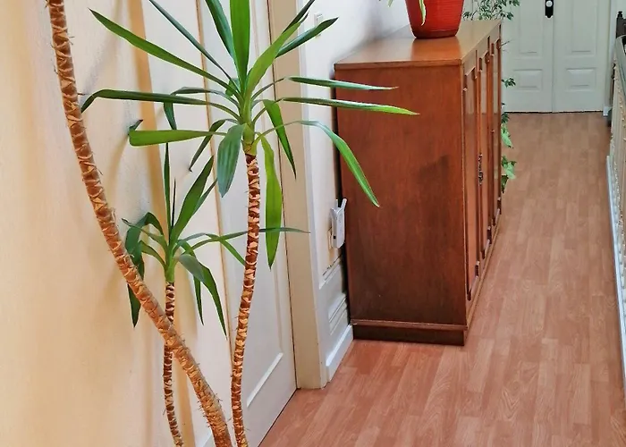 Residencia Vale Formoso Porto